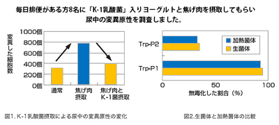 尿中の変異原性の調査