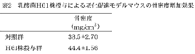 老化促進モデルマウスの骨密度増加効果